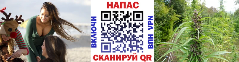 ссылка на мегу сайт  Зубцов  МАРИХУАНА Amnesia  цена  